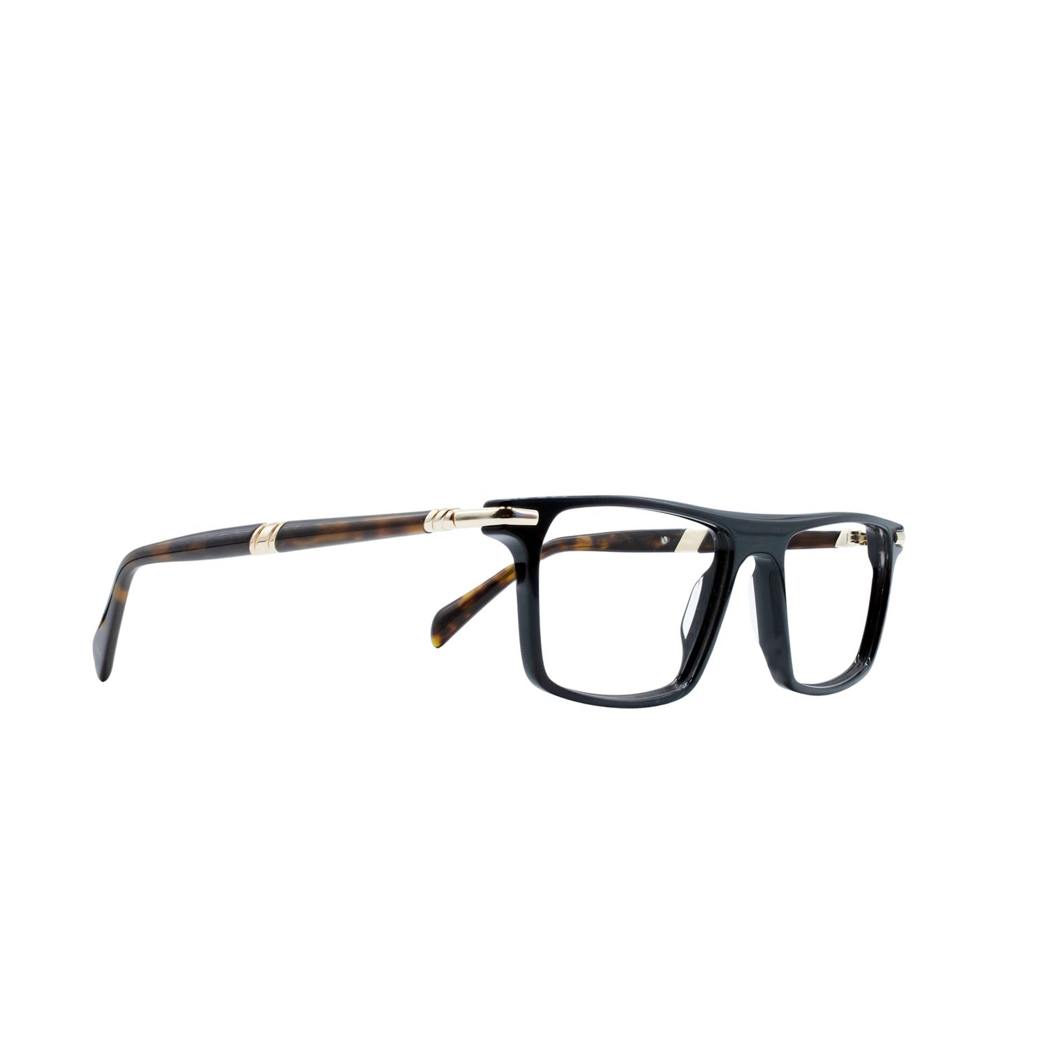 FLYNN - black tortoise
