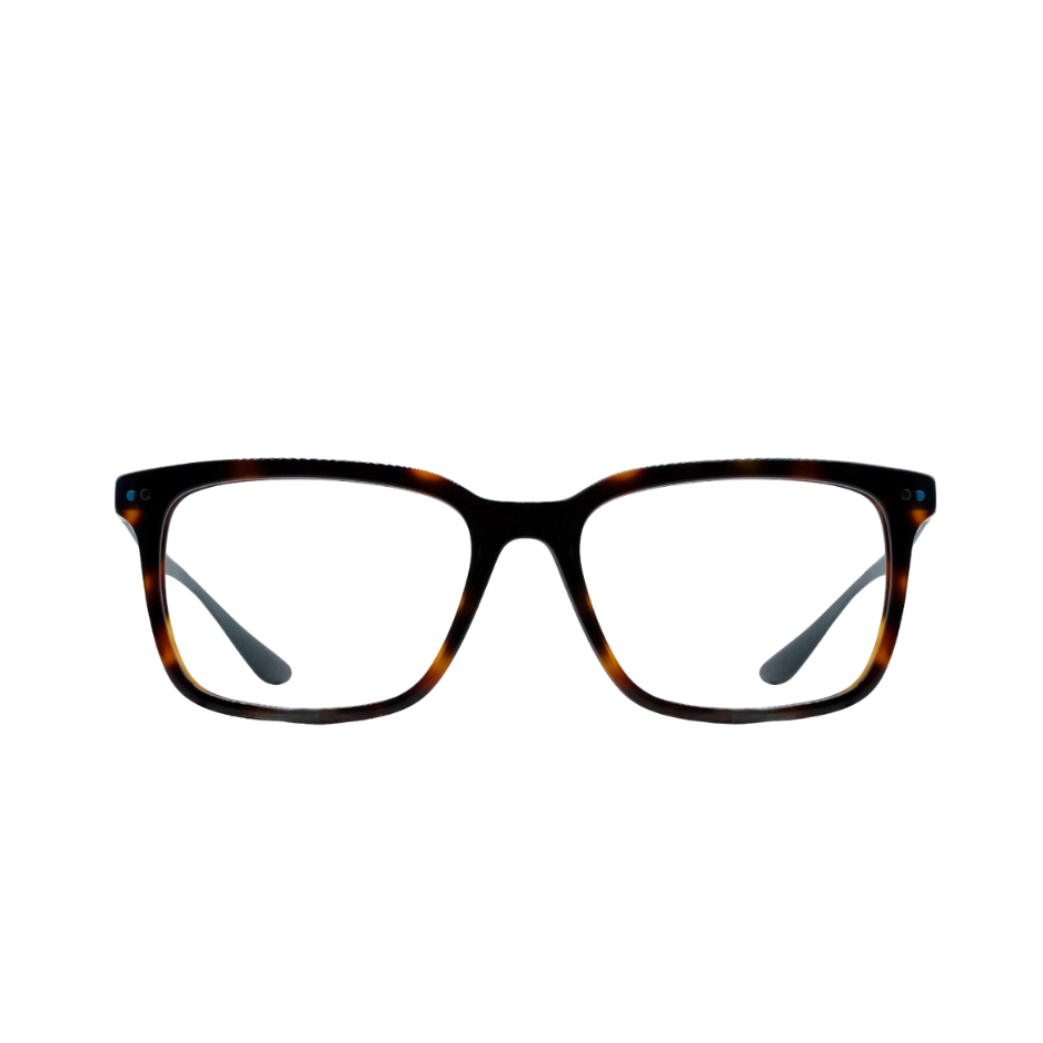 PARKER - tortoise